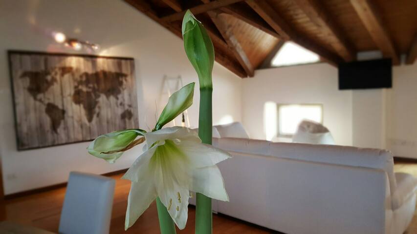 Donizetti Royal Attic Apartment 6 pax gallery image 4