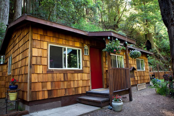 Big Sur Ca Cabin Rentals Airbnb