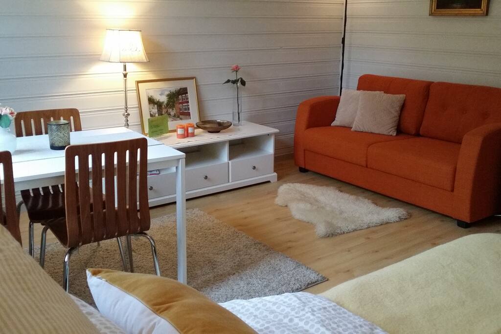 Spacious studio with all basic needs. The sofa can be made into a comfortable extra double bed.
