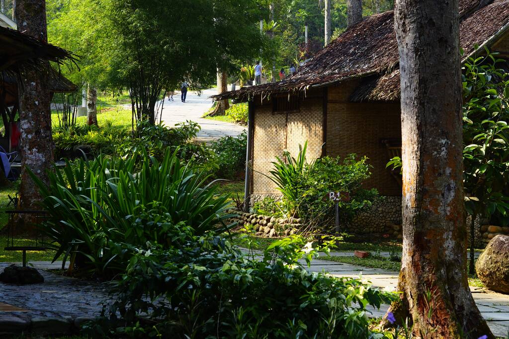 Taiping Bamboo Resort 2 Rooms Family Suite 2 Bedrooms 2 Bathrooms Nature Lodge In Taiping Malaysia
