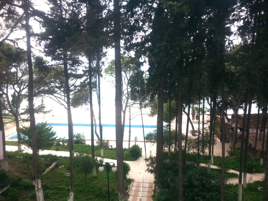 View from the balcony