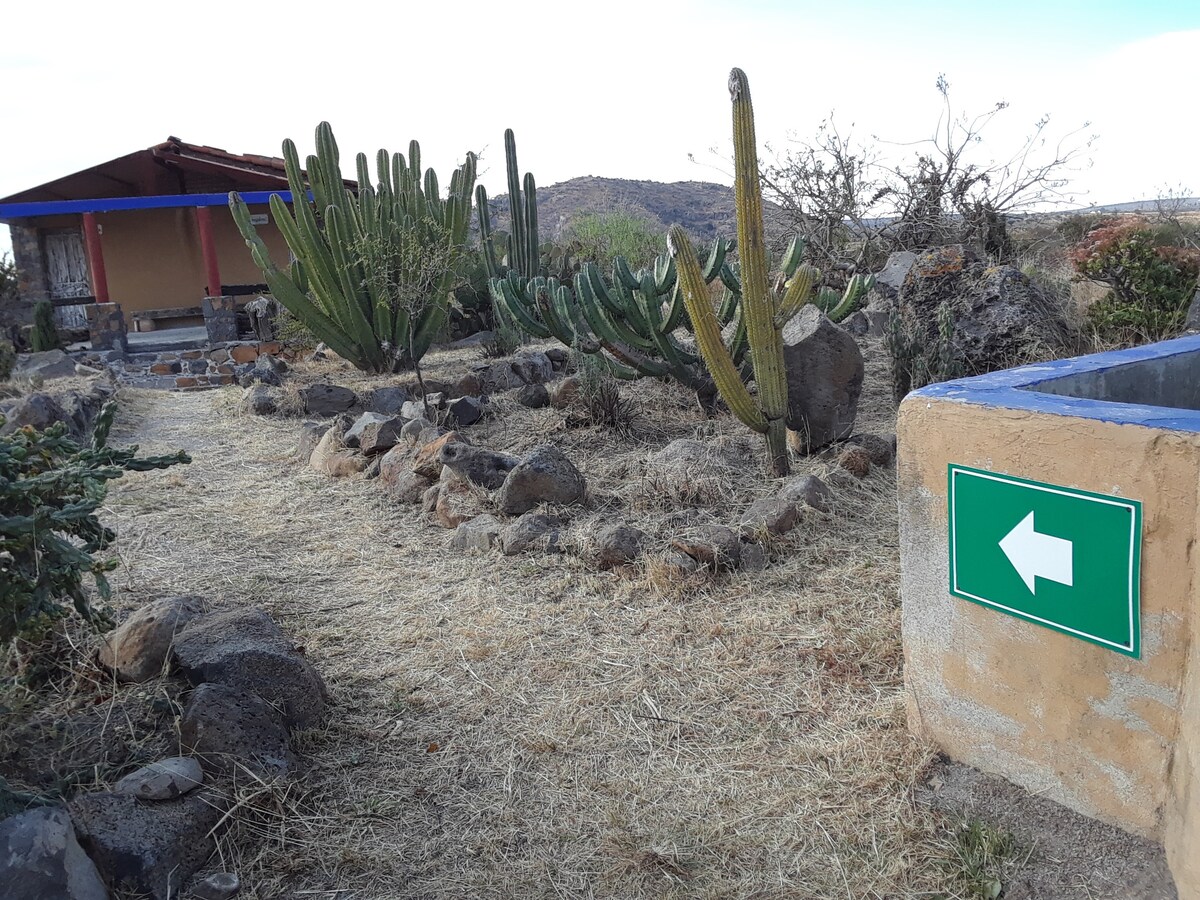 A tranquil pathway leads towards a rustic structure with a red roof, bordered by desert vegetation. Cacti and rocks frame the path, while a green sign indicating direction is positioned near a stone wall. The landscape is dry, suggesting a warm climate.