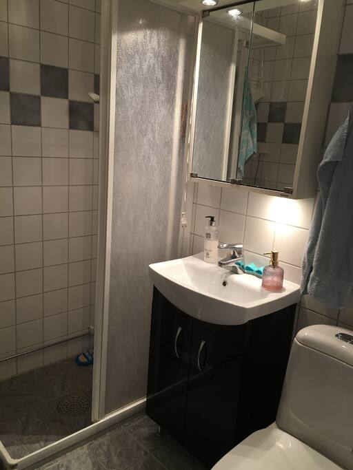 Badrum med dusch och tvättmaskin