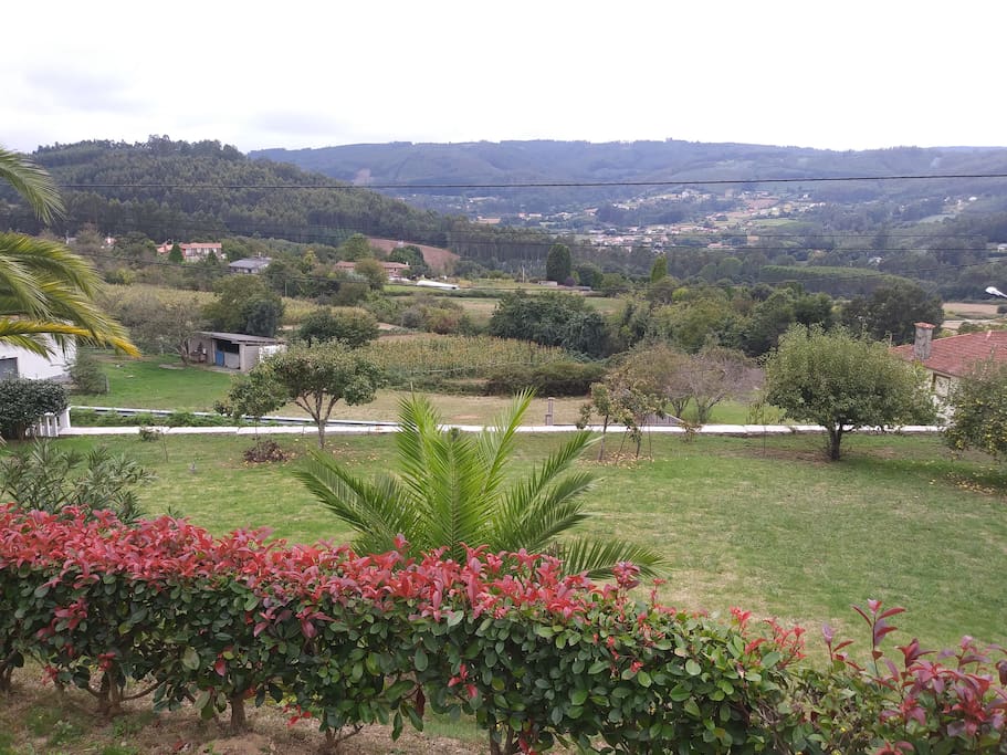 Jardin y vistas
