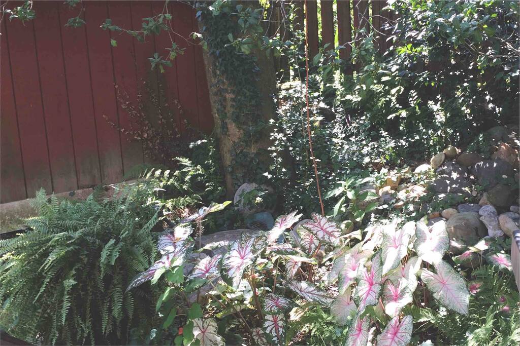 Back yard garden for grilling or reading in the summer. For smokers, this is you spot.