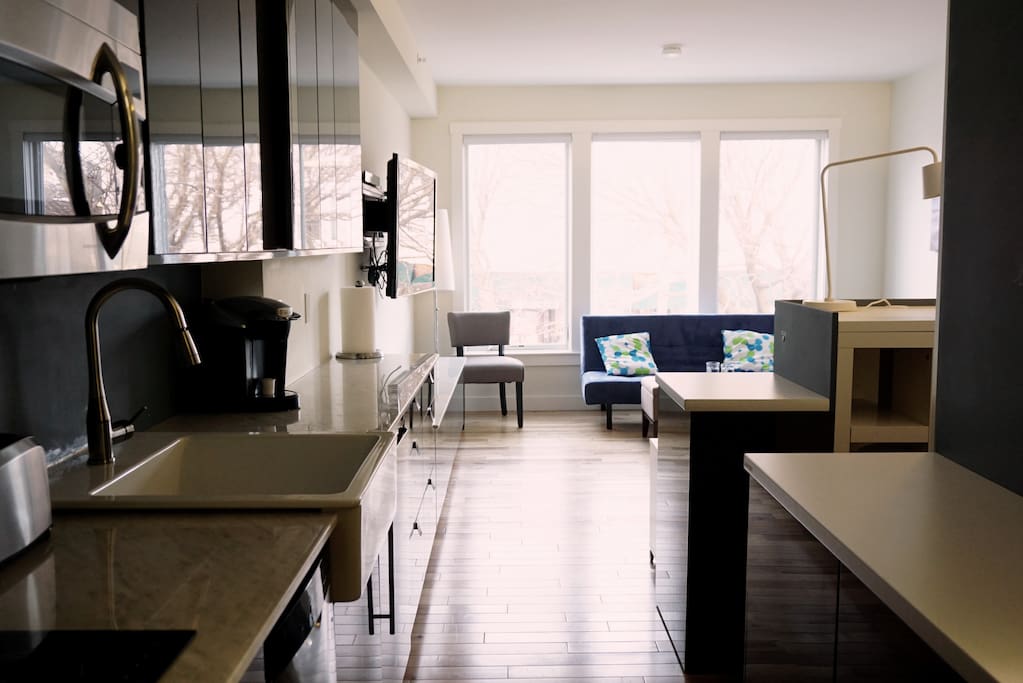 Kitchen, study area, bedroom, living room all in one room