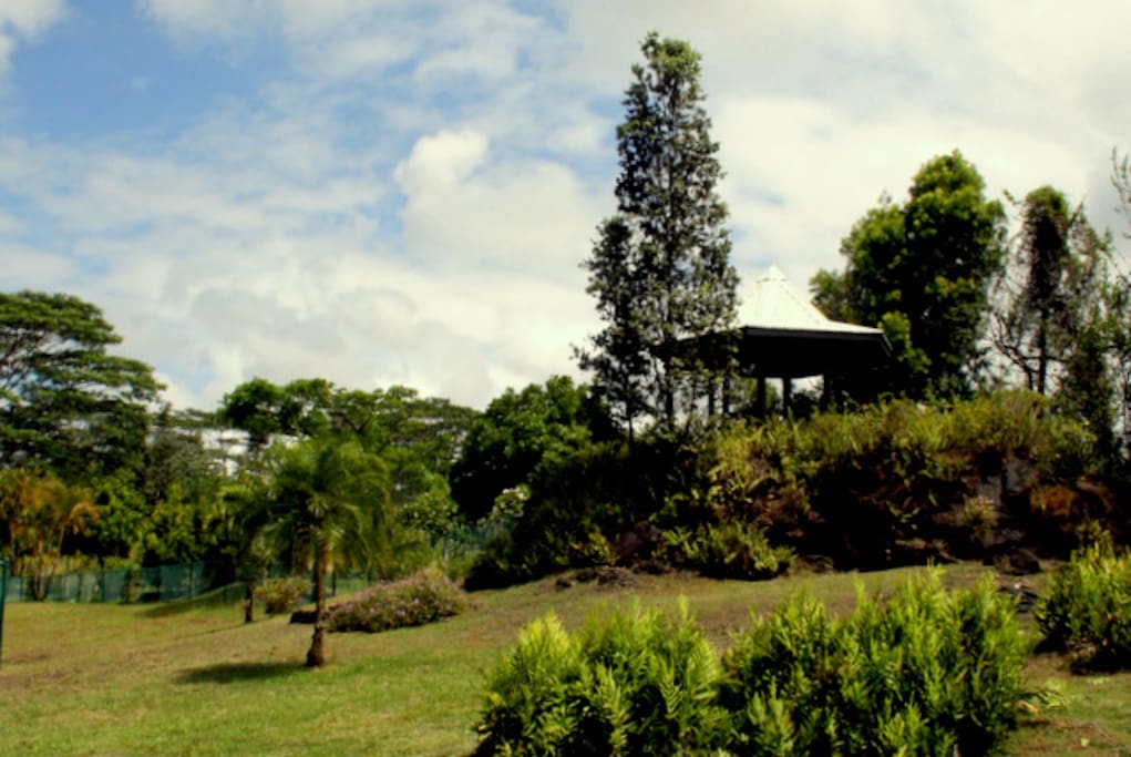 Personals in hawaiian paradise park hawaii