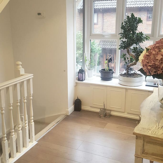 Large, bright landing with our beloved bonsai tree