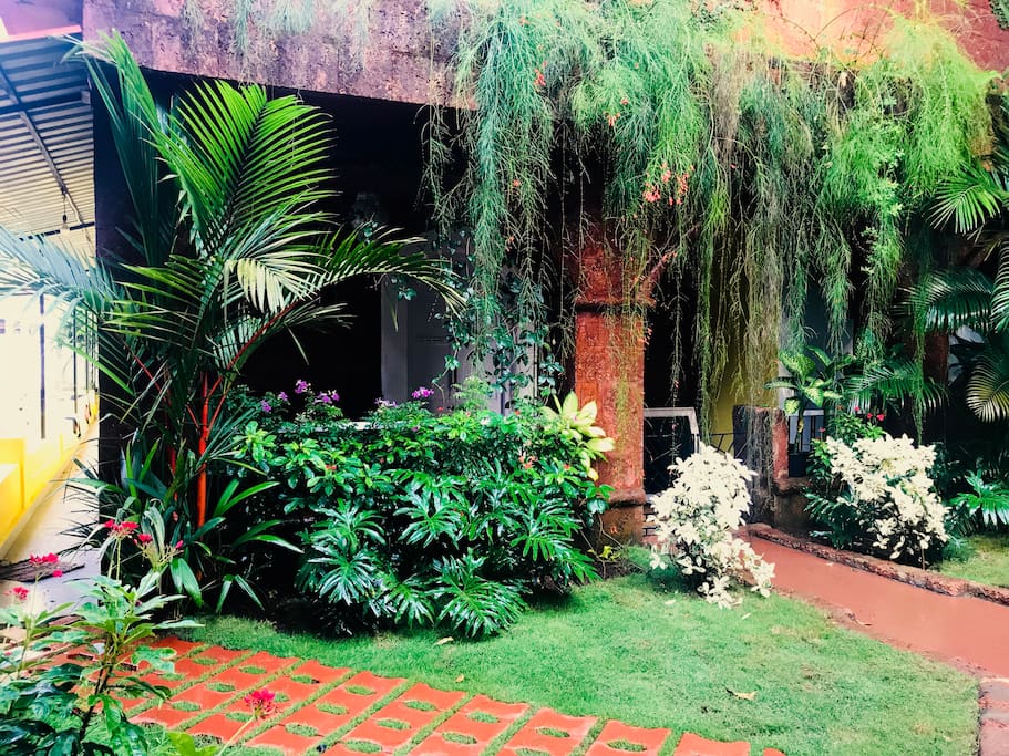 Outside the House