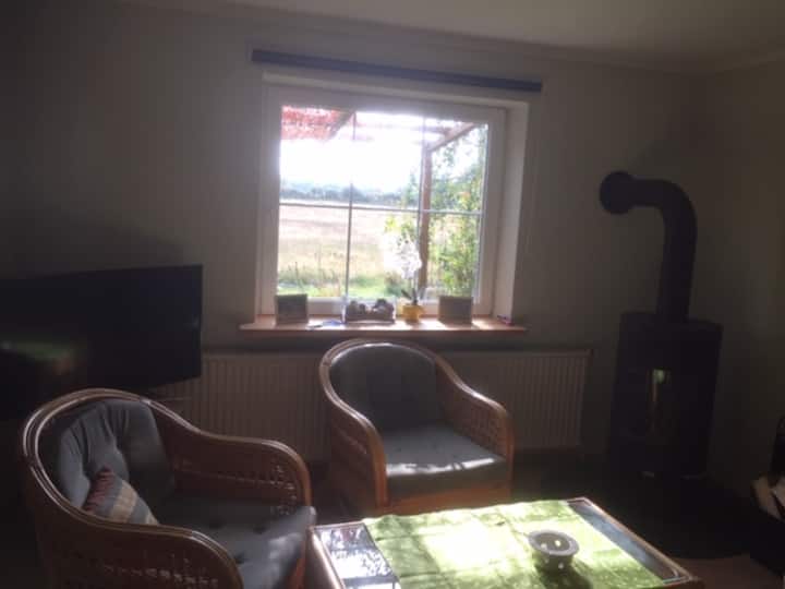 غرفة مدفأة مع تلفزيون