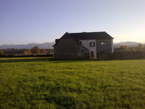 Old renovated Oloron farmhouse - entire home