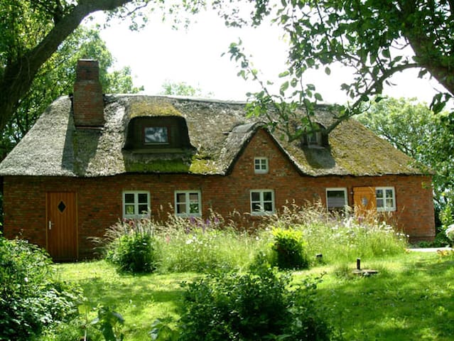 Airbnb Wasserkoog Vacation Rentals Places To Stay