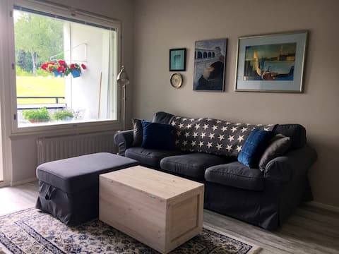 Successful Airbnb property: Two-room apartment with park view in Nisula