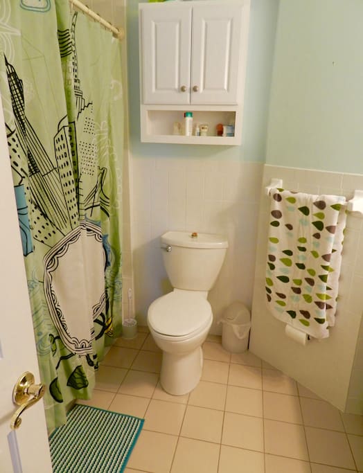 salle de bain /first bathroom