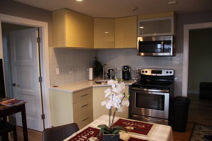 Cozy, New Luxury 2 Bedroom 15 Mins to O'Hare