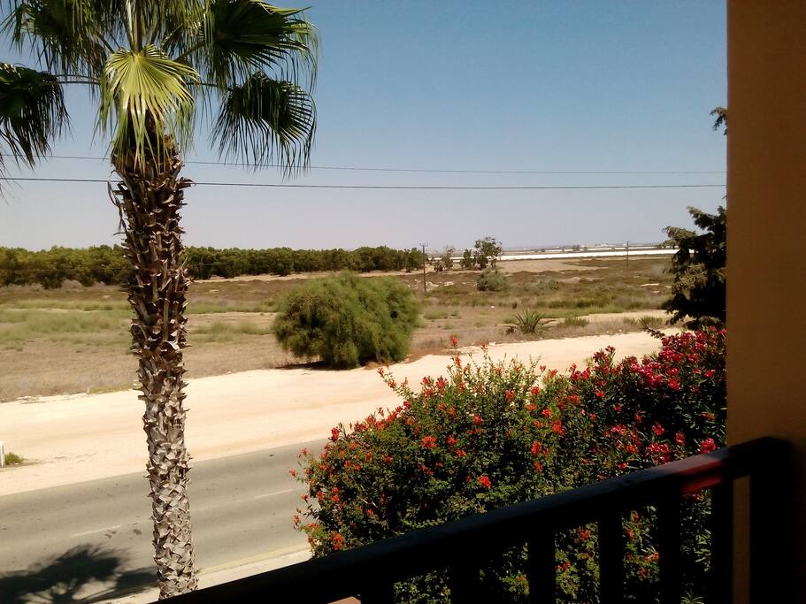 looking towards Larnaca salt lakes from the veranda