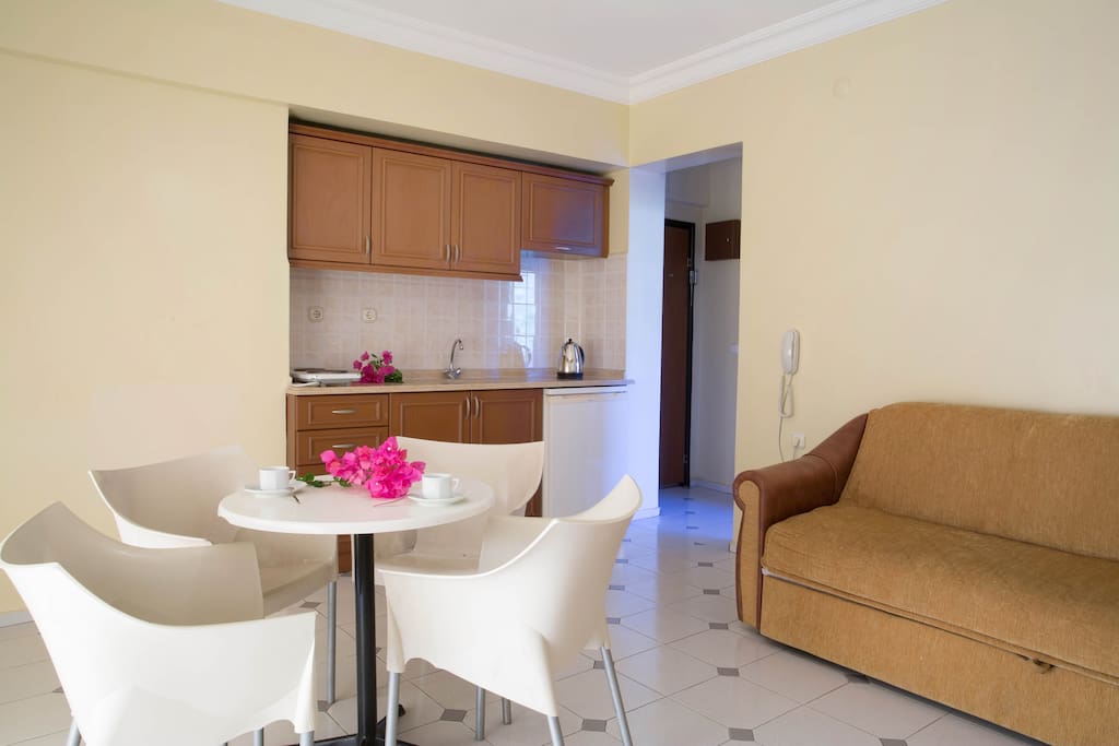 One Bedroom Apartment Living Room