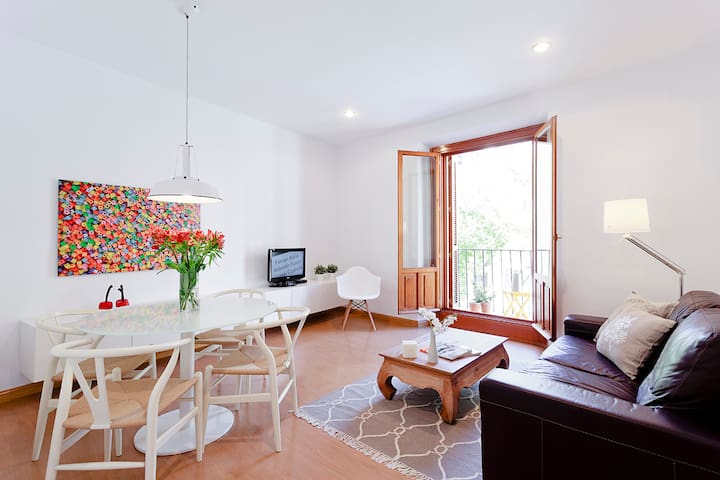 Charming central apartment, 2BR, for families – SM