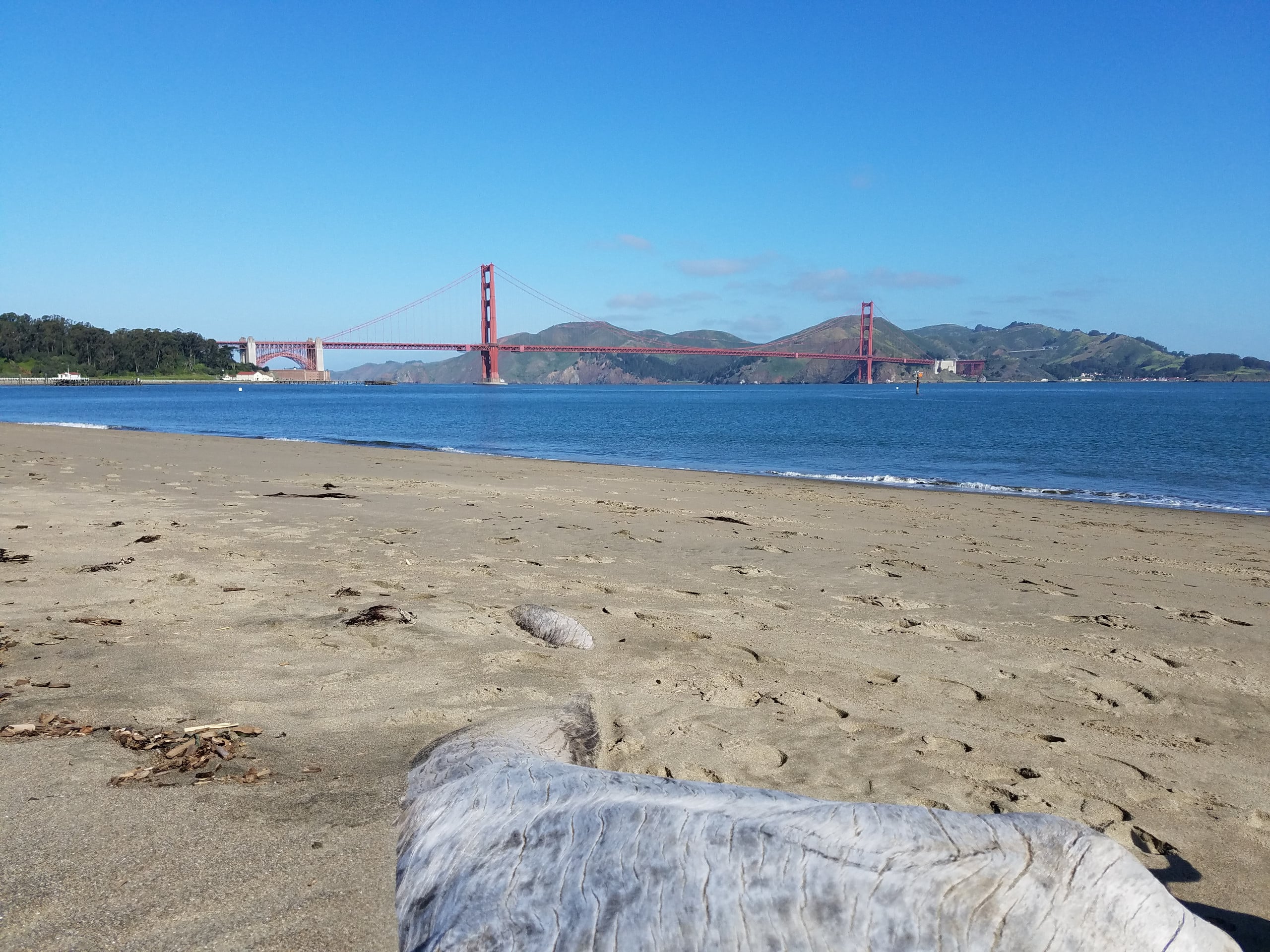 Condo in San Francisco · ★4.95 · 1 bedroom · 2 beds · 1 bath - Image 9