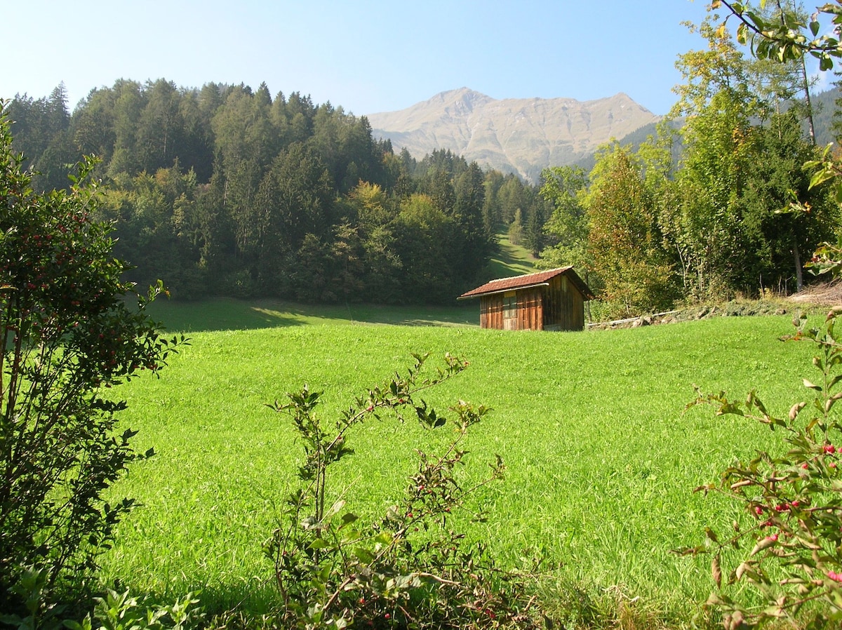 A verdant landscape features a bright green field, bordered by lush trees on one side. In the distance, a mountain is visible, its peaks gently illuminated by sunlight. A small wooden structure is situated within the field, providing a sense of tranquility in the natural setting.