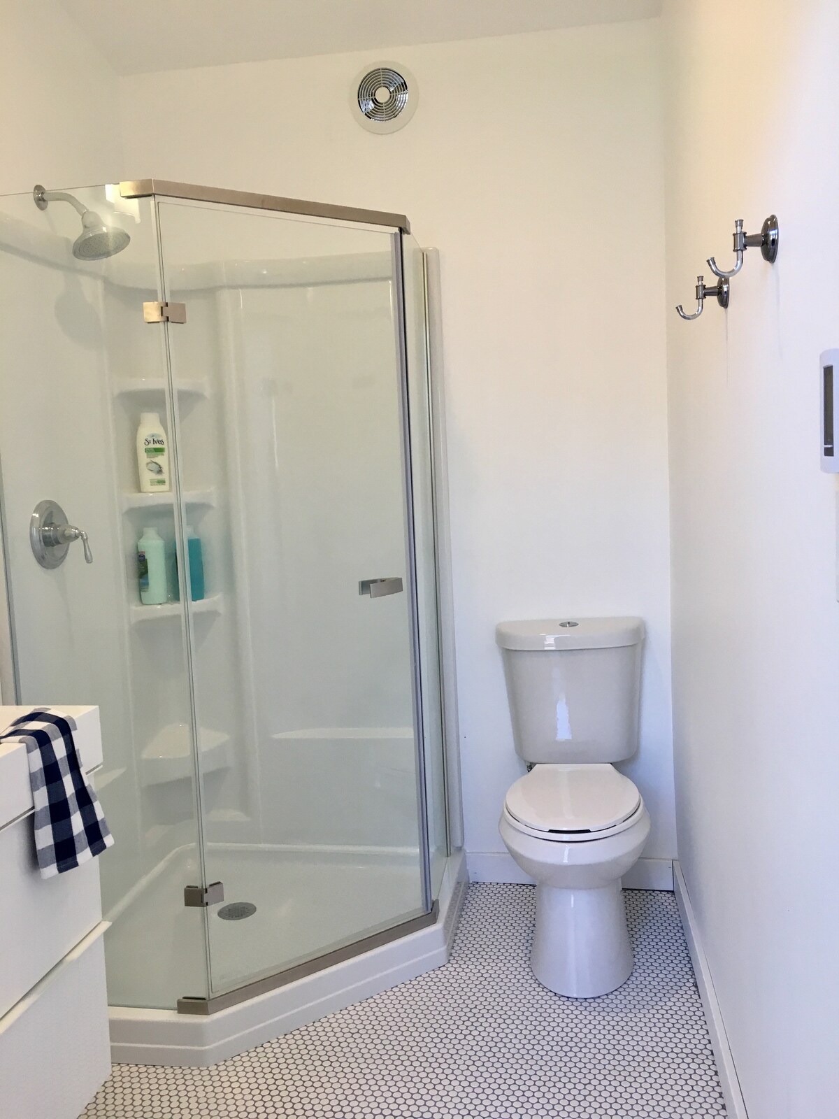 Modern Hyde Park Studio