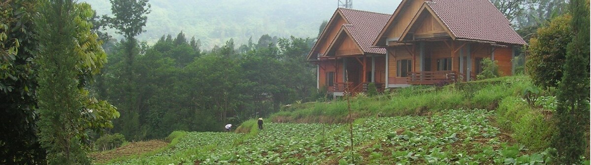 A wooden structure with a peaked roof is situated against a backdrop of lush greenery, surrounded by vegetable fields. The area appears tranquil, with gentle slopes leading to the house, offering a serene rural atmosphere.