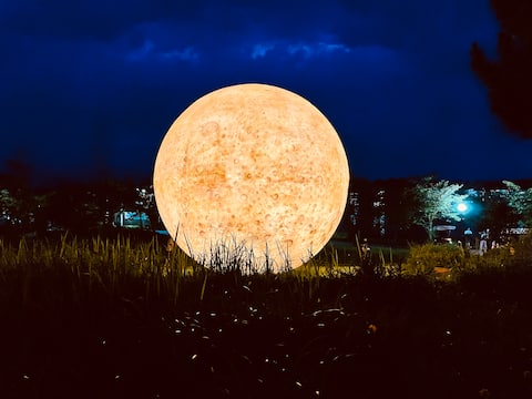 Up to 6 people based on the standard/Nemo dreaming of circles in daily life