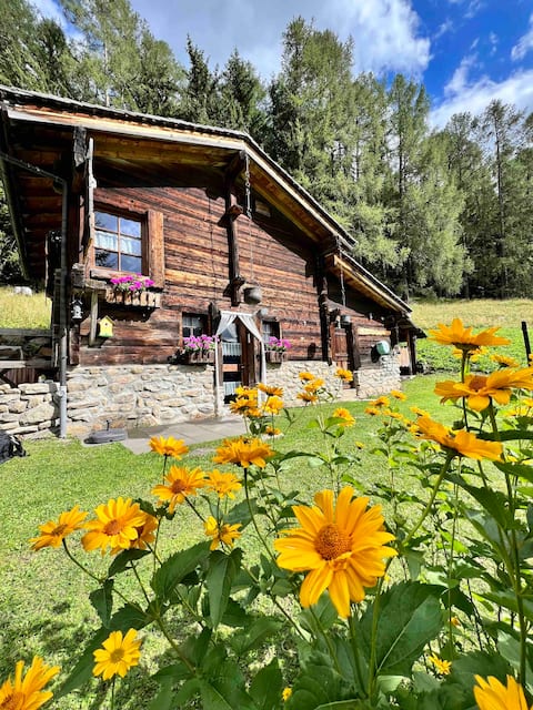 Idyllic alpine hut with nature experiences in Goms