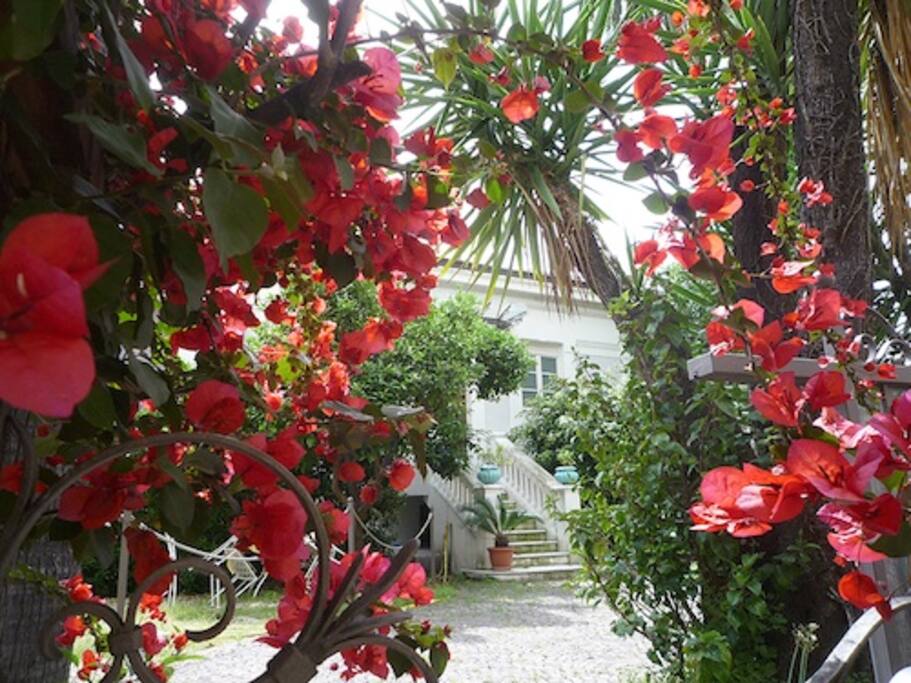 ingresso