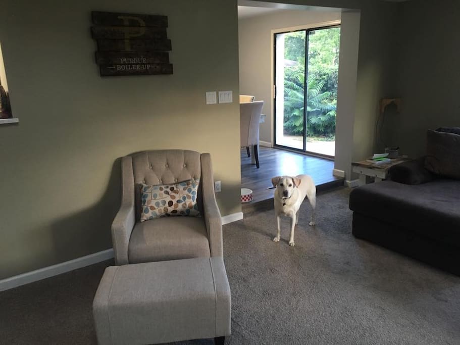 Shared Living Room and my dog Sunny!
