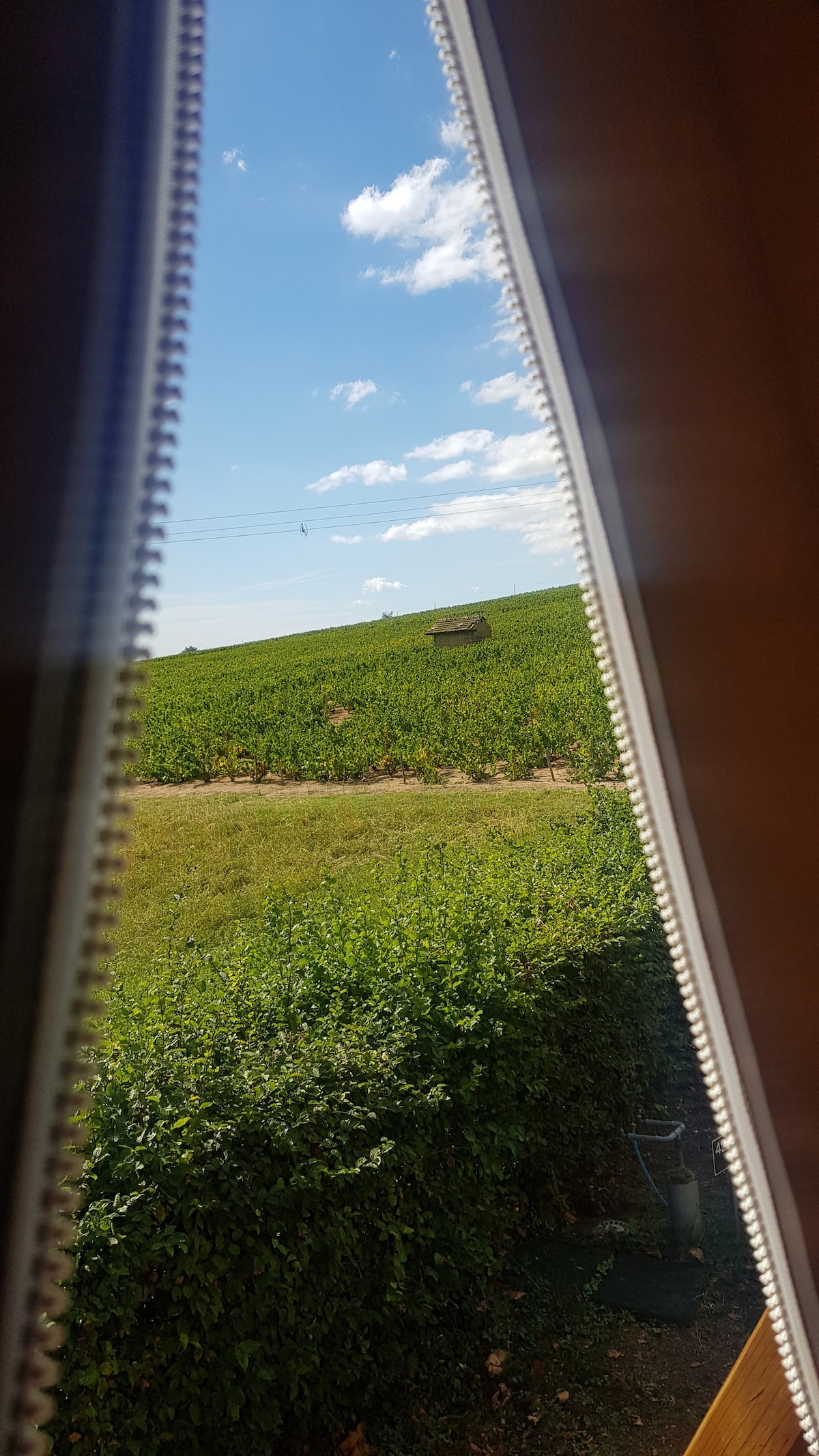 Tente safari — Séjour en pleine nature avec spa à Rhône à Sarcey — environnement naturel