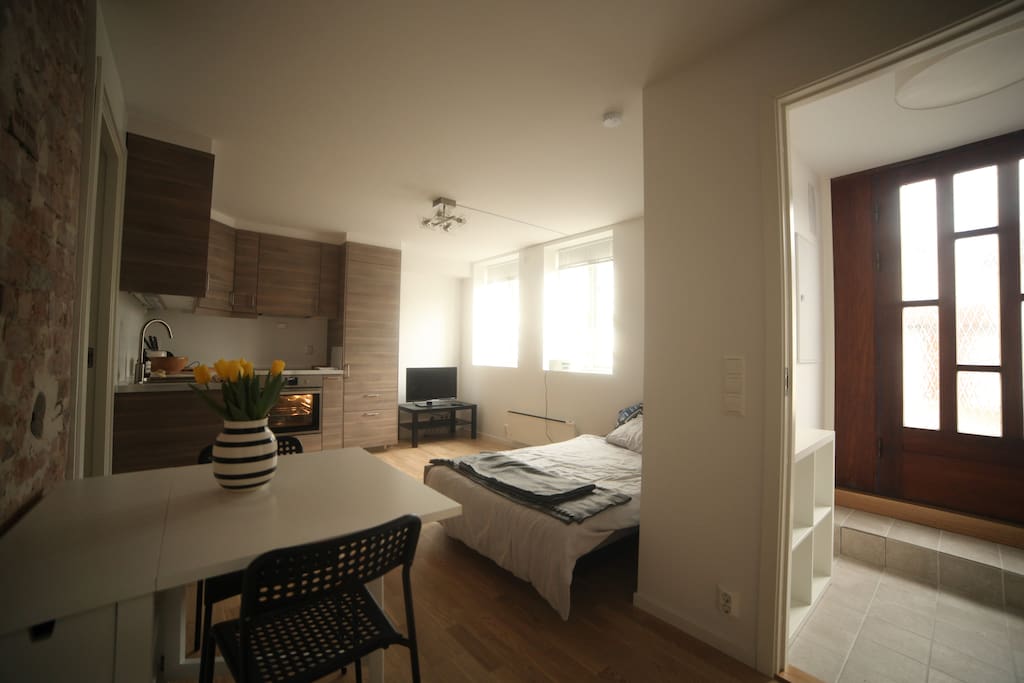 Kitchen/livingroom and sofabed.