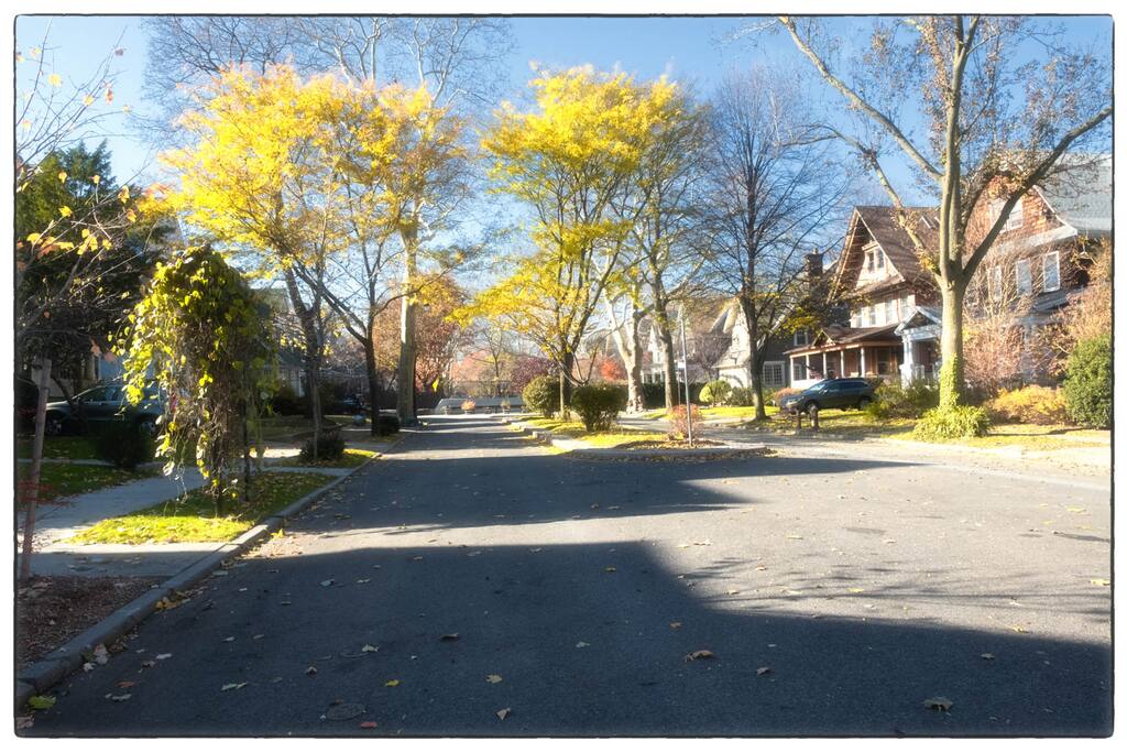 This is Glenwood Road. It is beautiful during all seasons