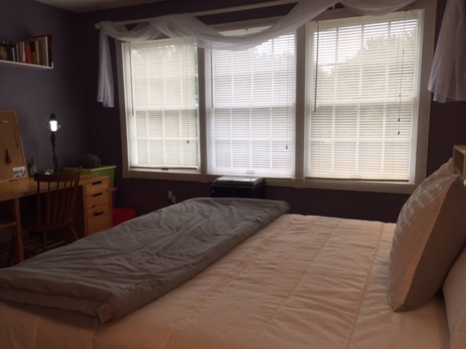 Beautiful natural light with a view of two acres of grass and trees.