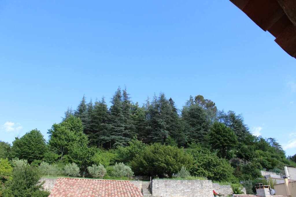 chambre sur rue au pied de la citadelle et de sa couronne boisée