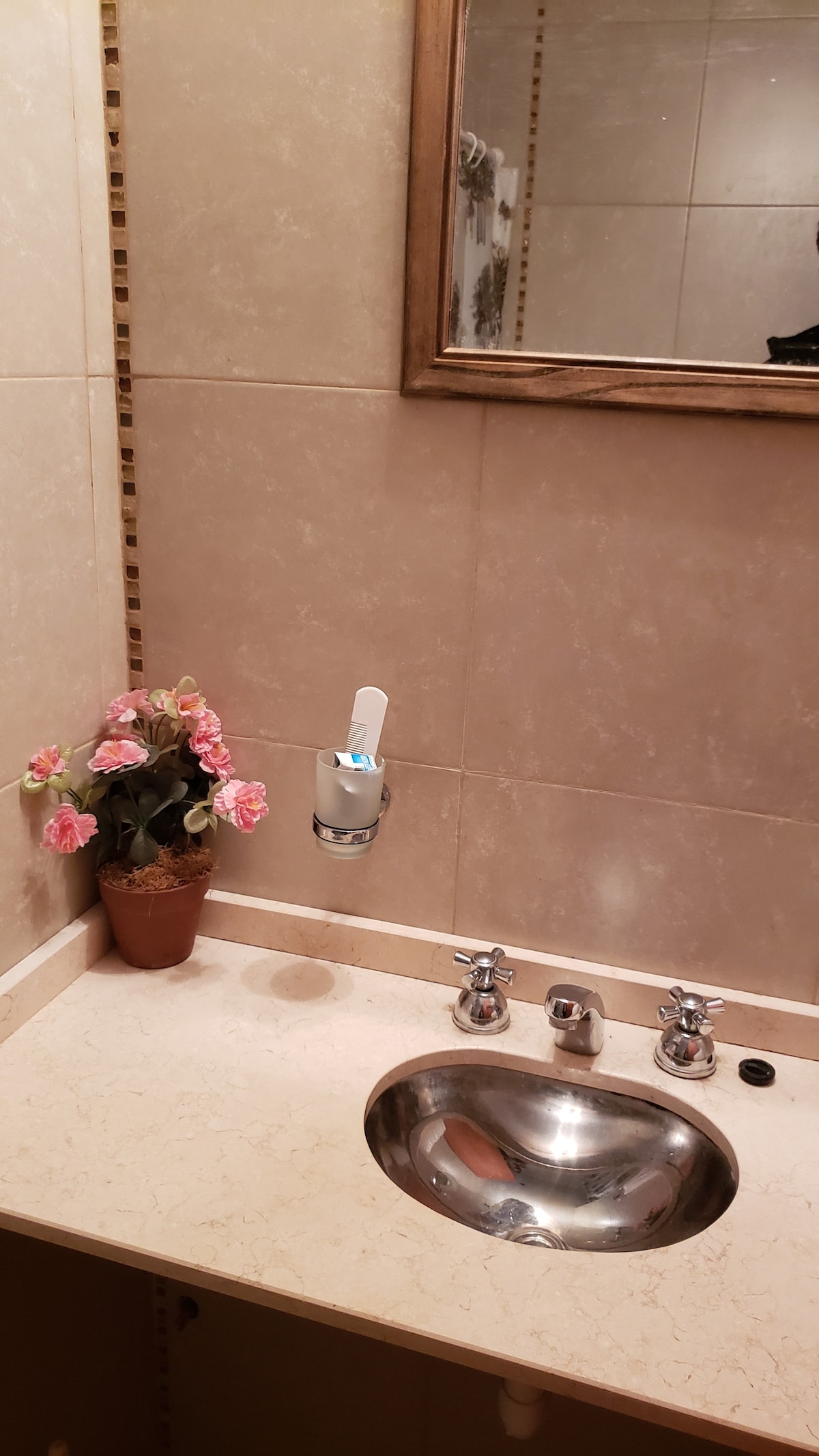 A well-maintained bathroom features a polished sink with two chrome faucets and a soap dispenser mounted on the wall. A small potted plant with pink flowers decorates the counter, adding a touch of color. A framed mirror hangs above the sink, reflecting the space.