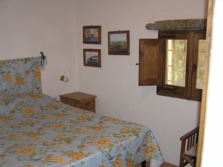 vue de la chambre double