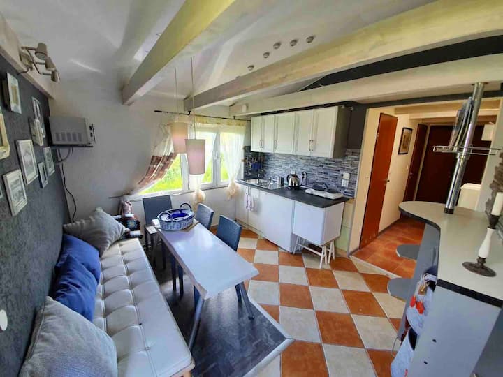 Appartement Im Sommerhaus Misdroy - Międzyzdroje