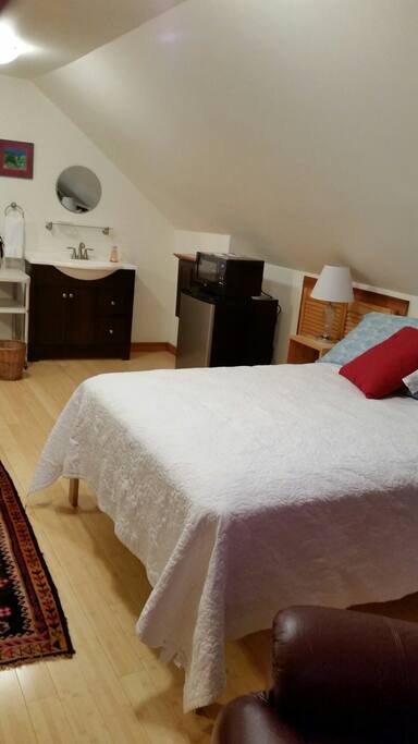 sink, fridge and microwave in room