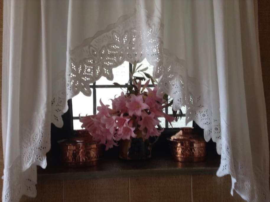 Kitchen window