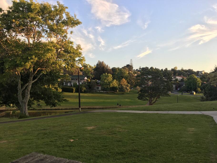 The park