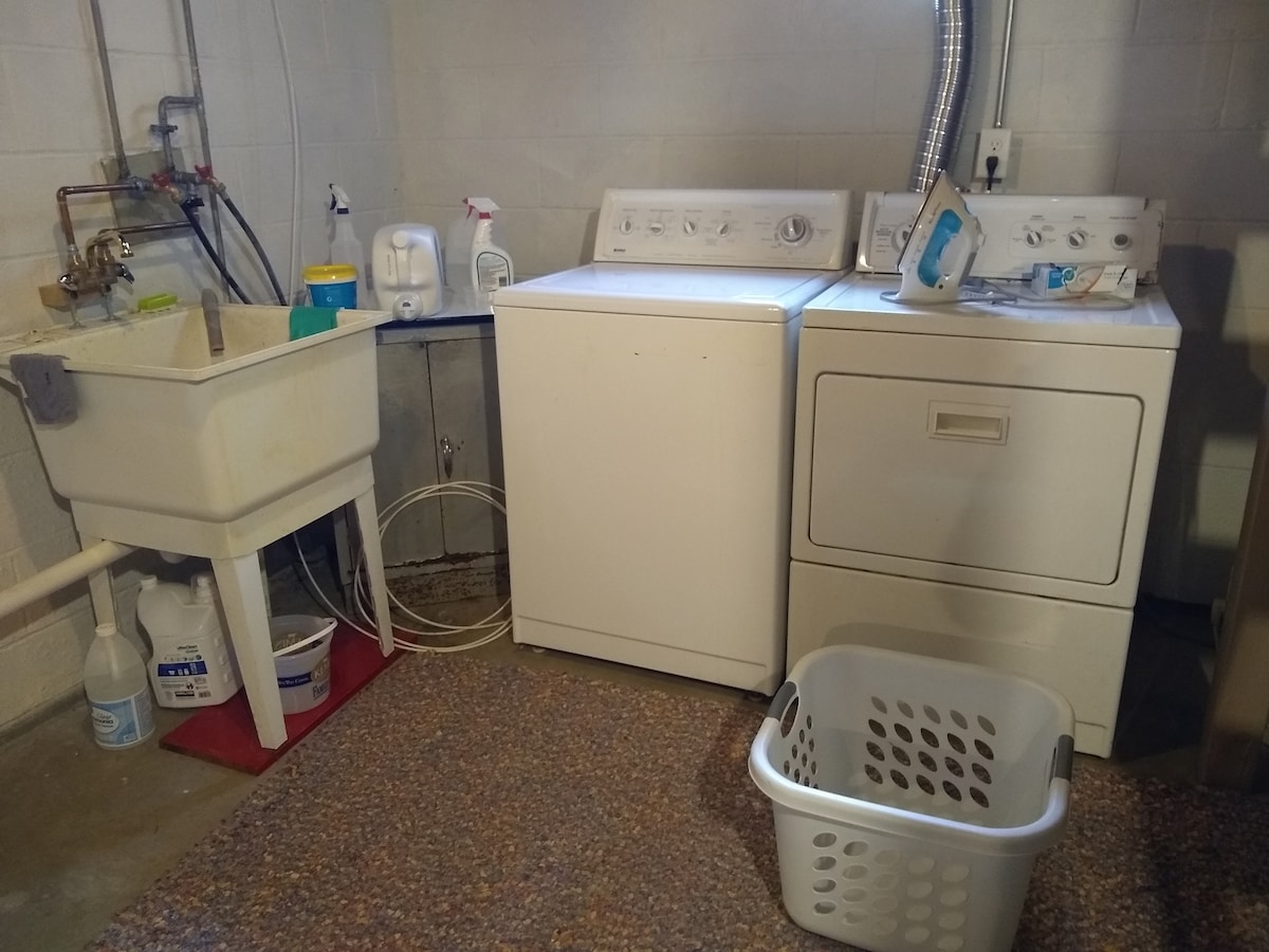 A laundry area is equipped with a washing machine and dryer, positioned next to a utility sink. Cleaning supplies and an iron are visibly organized nearby. A laundry basket is placed on the floor, and a neutral-colored rug covers the concrete surface.