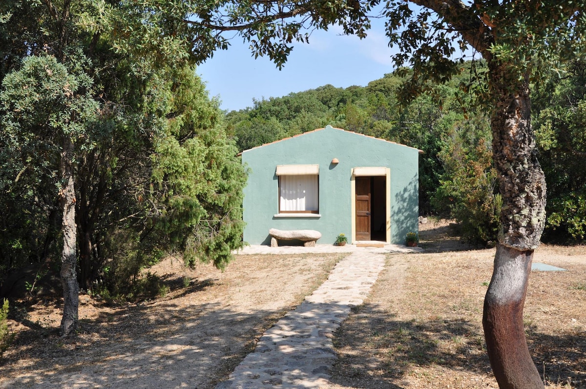 Top Airbnb: La Suara Tolta in Olbia