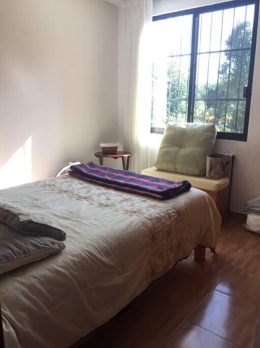 Window has option of blinds or light curtains