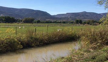 A serene landscape is captured, featuring a gentle stream bordered by grassy vegetation. The background showcases expansive mountains under a clear sky, while a lush green pasture with grazing horses is visible beyond the water, creating a peaceful natural setting.