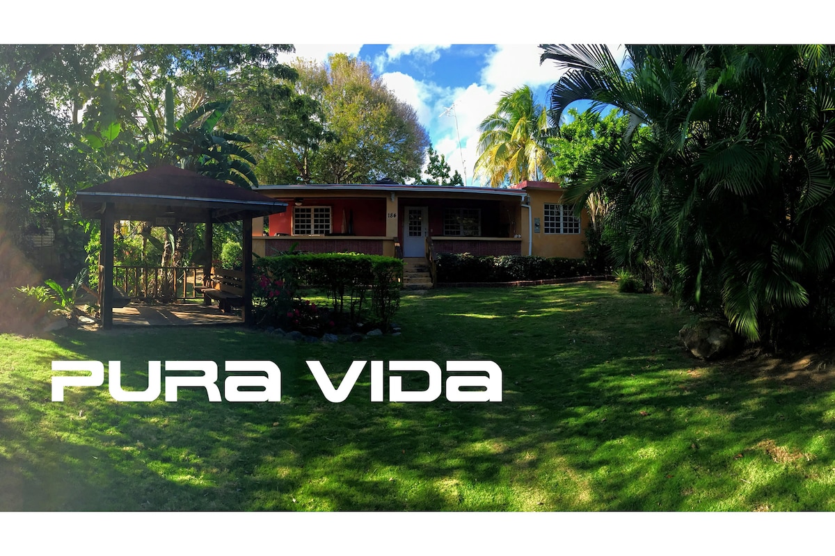 The exterior of Pura Vida is surrounded by lush greenery and colorful foliage. A spacious lawn is visible in the foreground, while a covered outdoor area provides shade nearby. The warm-colored house features a welcoming porch and large windows, inviting natural light into the home.