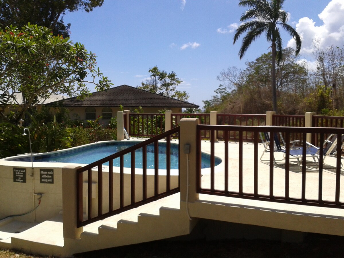 A circular, above-ground pool is set against a backdrop of lush trees and greenery. The pool deck features a wooden railing and steps leading down, with a pair of lounge chairs positioned nearby. A clear blue sky completes the inviting outdoor space.