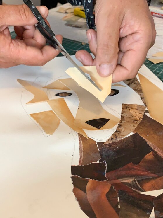 Show full-screen, host-provided image