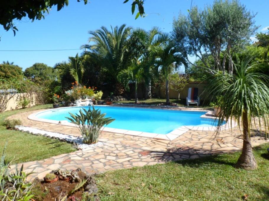 Piscine et jardin paysager