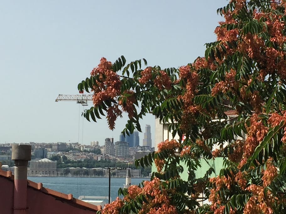 Kısmi boğaz manzaralı